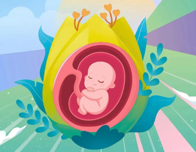 预防出生缺陷 守护生命起点健康